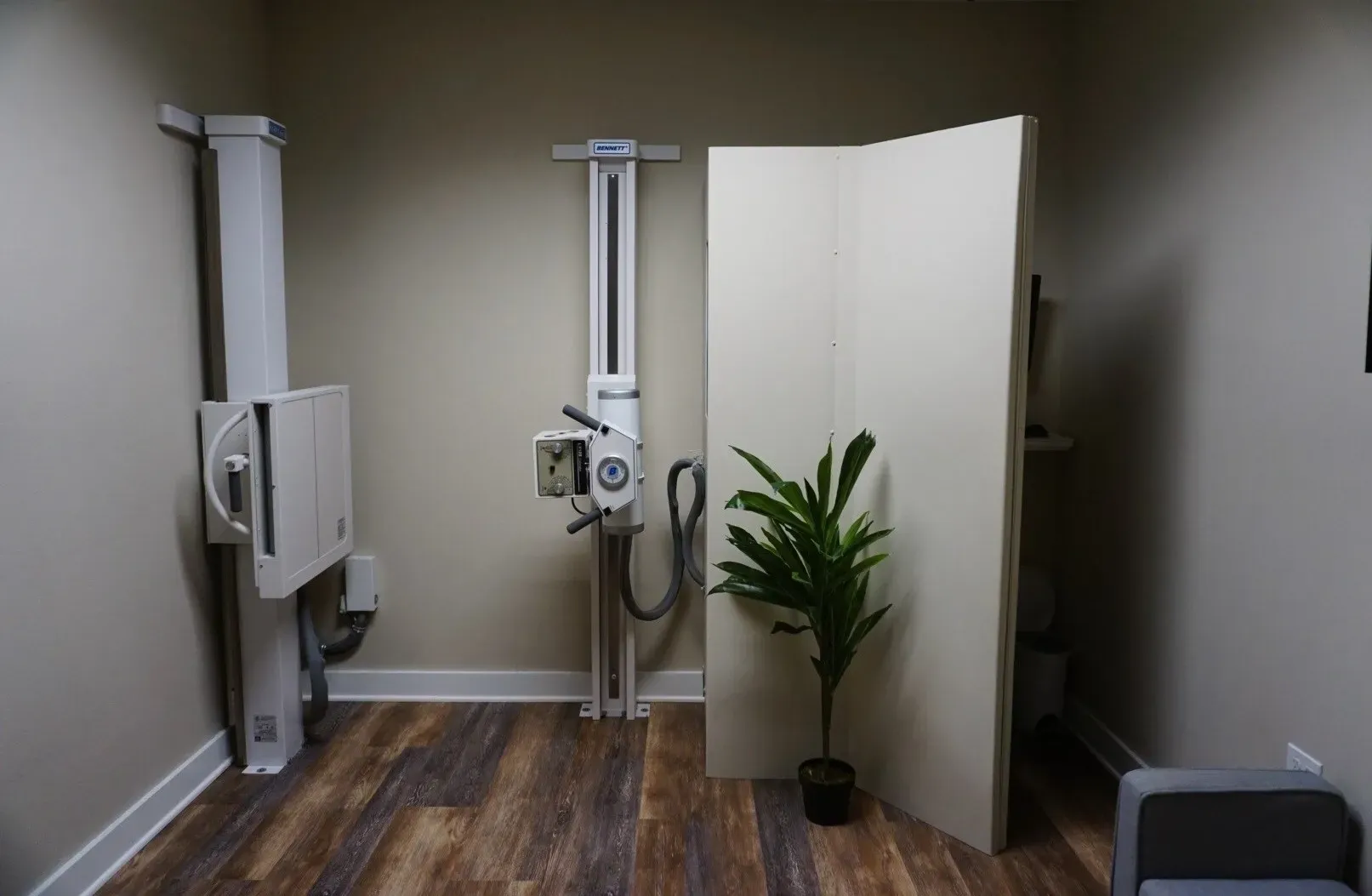A bathroom with a plant and toilet paper.
